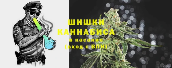 амф Новодвинск