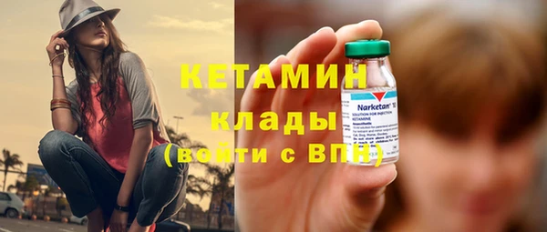 амф Новодвинск
