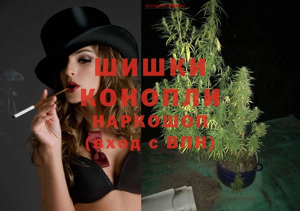 молекула духа Новозыбков
