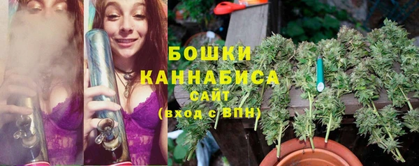 молекула духа Новозыбков